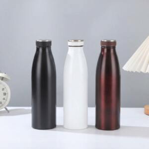 premium sleek stainless steel bottle for corporate gifting 3.jpg